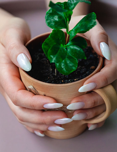 Fingers and Toes in Greenbrae, CA 94904 Gallery Nails 1